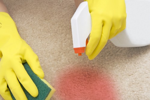 Rug cleaning process in a bright living room