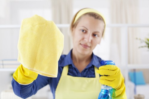 Home carpet treatment for pet stain odour removal