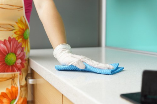 Professional carpet cleaning in a bright living room