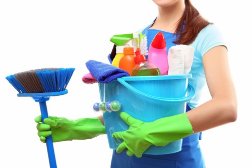 Professional deep rug cleaning equipment in use