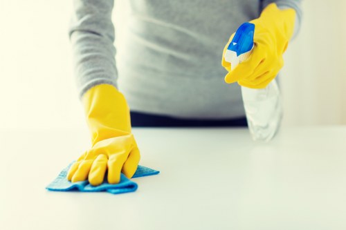 Carpet stain removal process using a cloth and cleaning solution