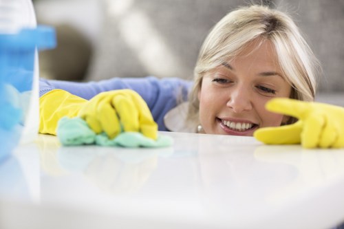 Blacklight inspection for hidden pet stains