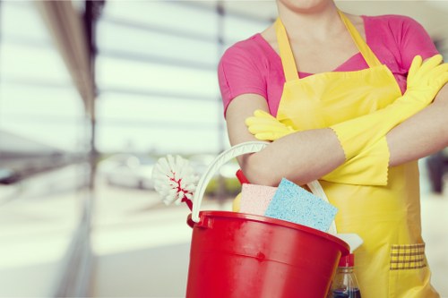 Cleaning supplies used for pet stain odour removal