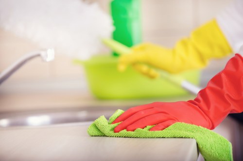 Professional steam carpet cleaning service in a home
